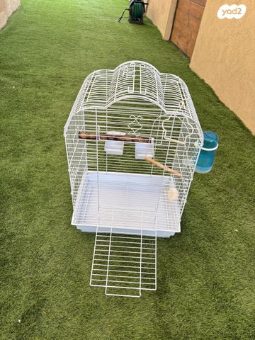 תמונת מודעה - חיות מחמד