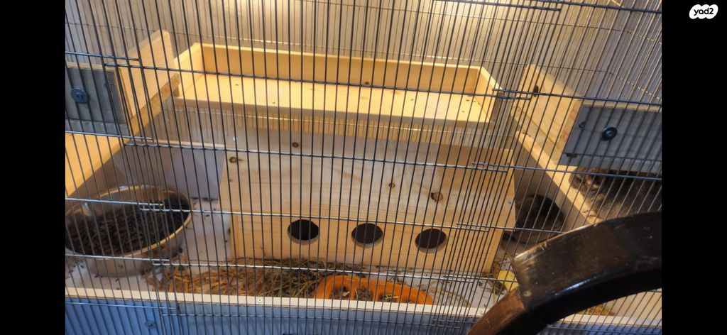 אביזרים | כלוב