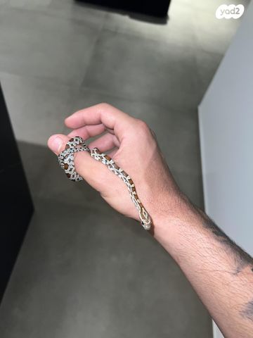 זוחל כרכן תירס