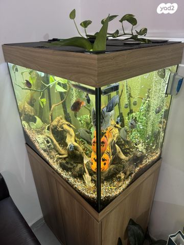 אביזרים | אקווריום