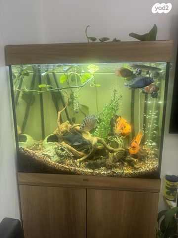 אביזרים | אקווריום