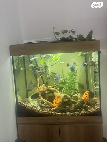 אביזרים | אקווריום