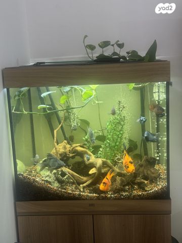 אביזרים | אקווריום