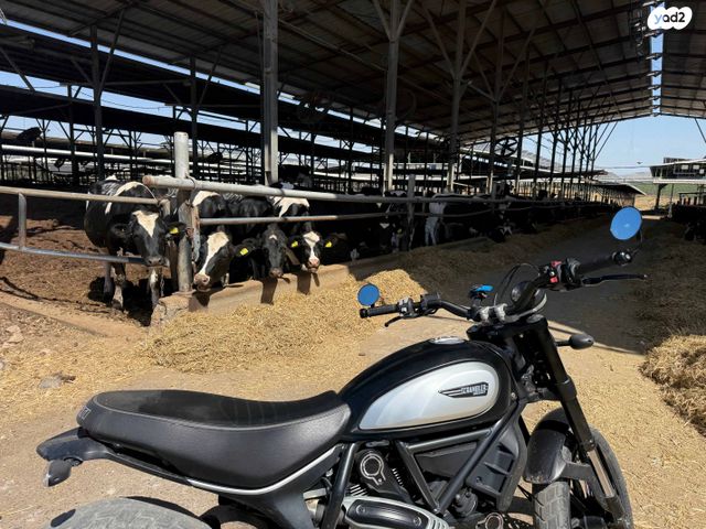 דוקאטי סקרמבלר אייקון 