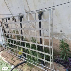 feedItemObj.data.row_1