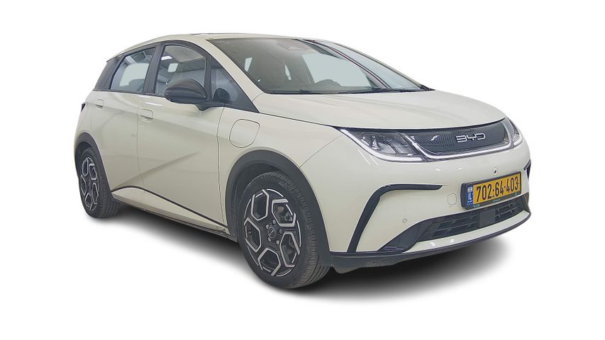 בי.ווי.די דולפין