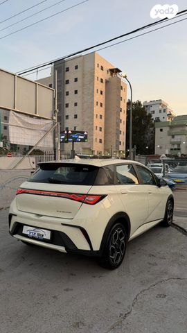 בי.ווי.די דולפין