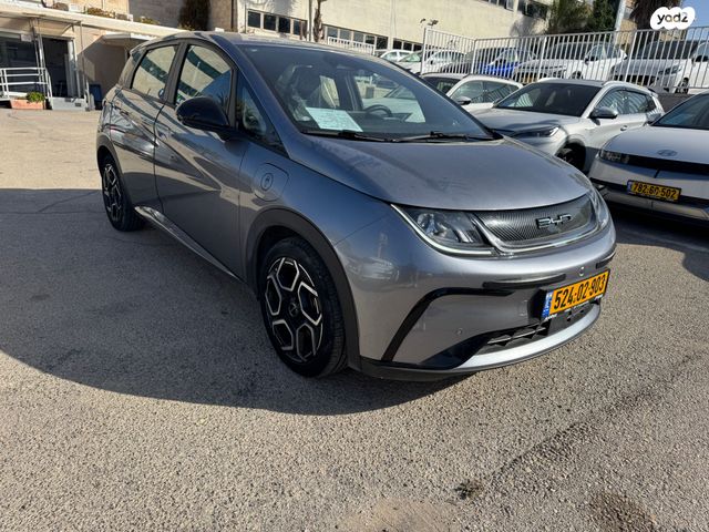 בי.ווי.די דולפין