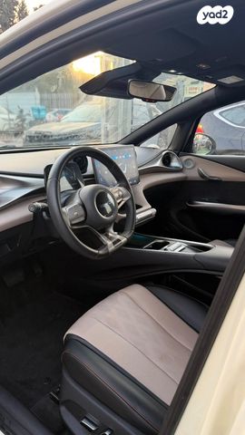 בי.ווי.די דולפין