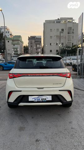 בי.ווי.די דולפין