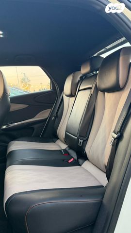 בי.ווי.די דולפין