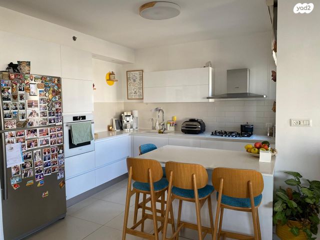 חיים הרצוג 29