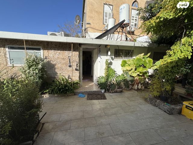 ציונה תג'ר 3