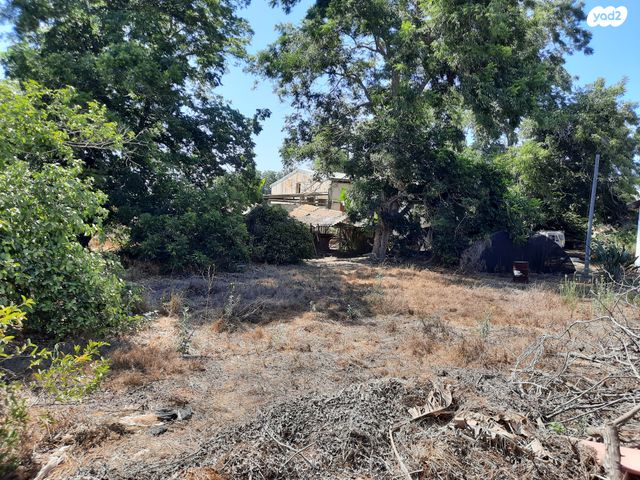 בית פרטי/ קוטג', האילנות 3, צור משה, צור משה