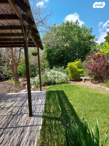 בית פרטי/ קוטג', דקל 6, מצפה אבי''ב, מצפה אבי"ב