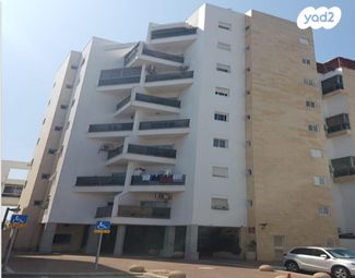 דוד וולפסון 14