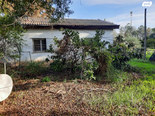 בית פרטי/ קוטג', האילנות 3, צור משה, צור משה