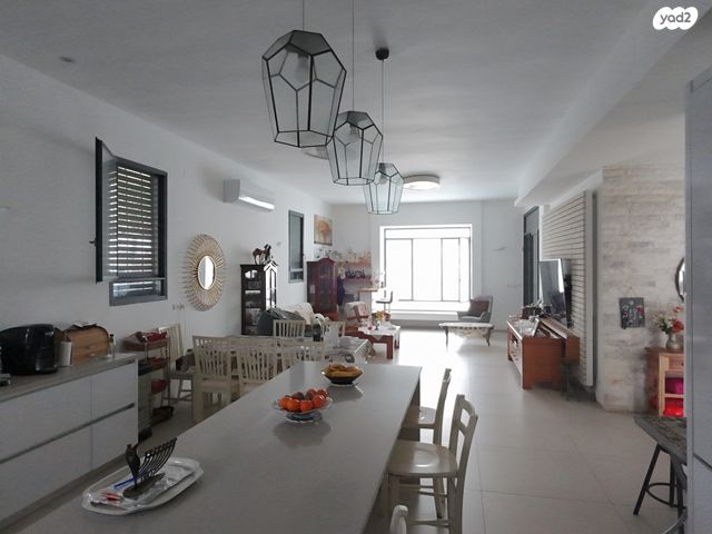 הסוכנות היהודית 24