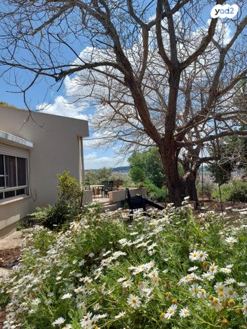 בית פרטי/ קוטג', דקל 6, מצפה אבי''ב, מצפה אבי"ב