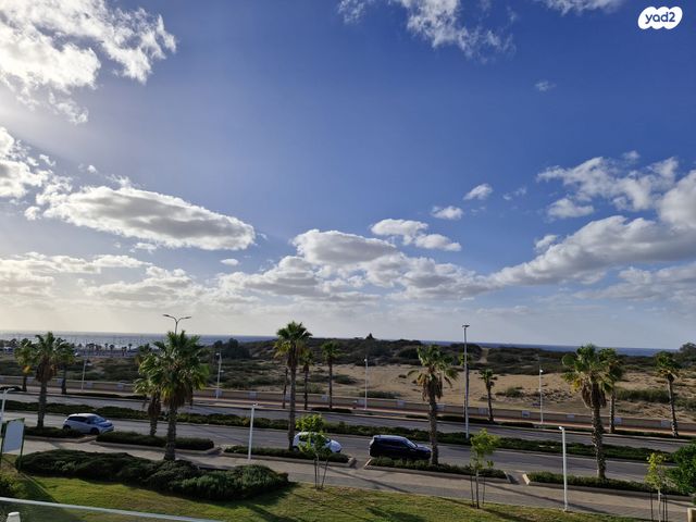 מארק שאגל 78