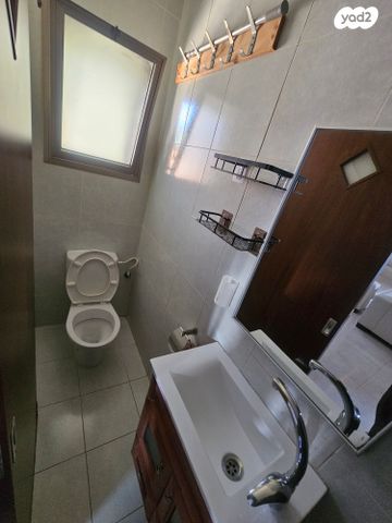 זלמן שניאור 24