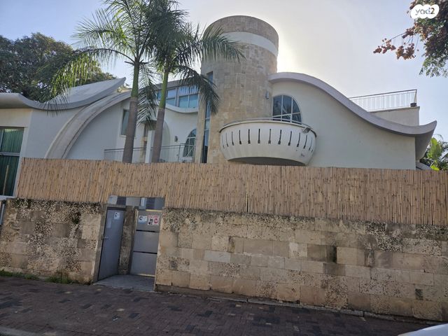 אבא אחימאיר 25