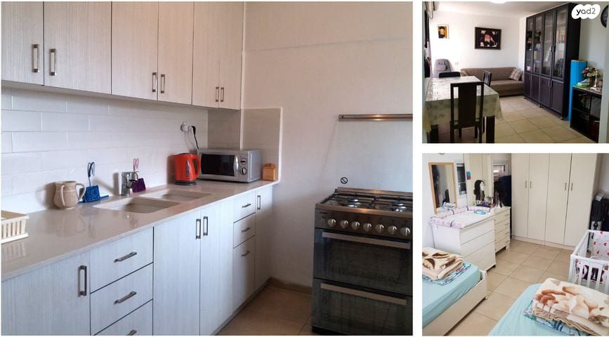 זלמן שז"ר 216