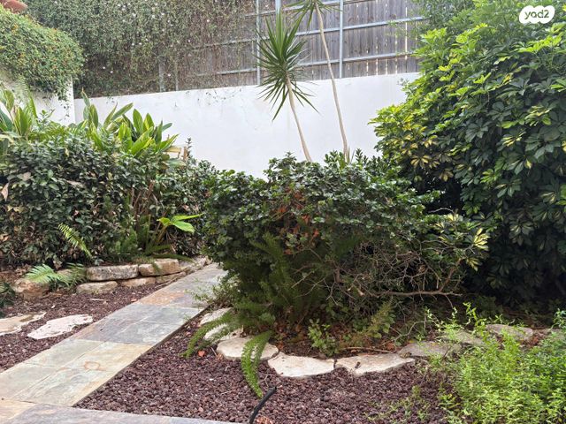 דירת גן, שדרות בן גוריון 3, גבעת עדן, זכרון יעקב