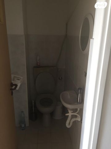 יגאל אלון 13