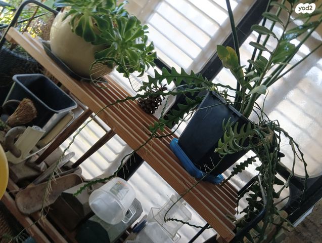 דירה, רד"ק 10, שכונת הלל, רמת גן