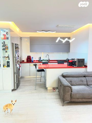 דירה, הכנסת 3, רסקו ב', חולון