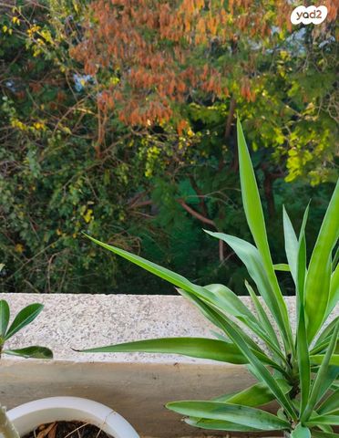 דירה, הרצל 10, ארלוזורוב, כפר סבא