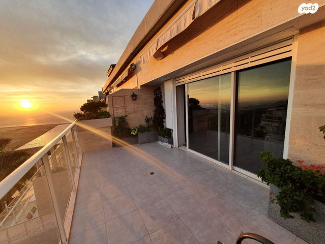 דירה, הרופא זלוצ'יסטי, אחוזה, חיפה