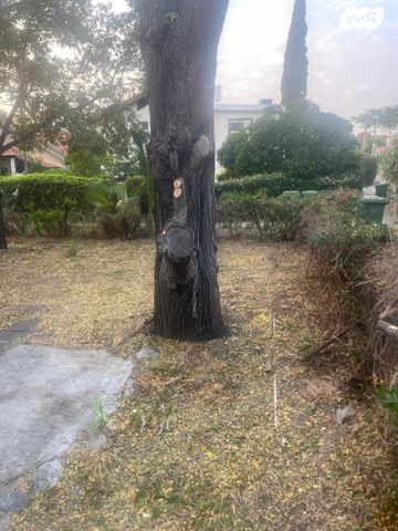 דו משפחתי, רמת ישי