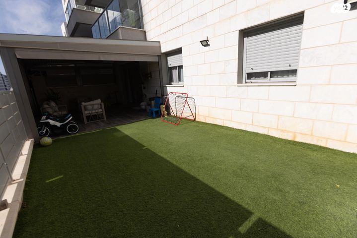 דירה, השחף, החותרים, טירת כרמל