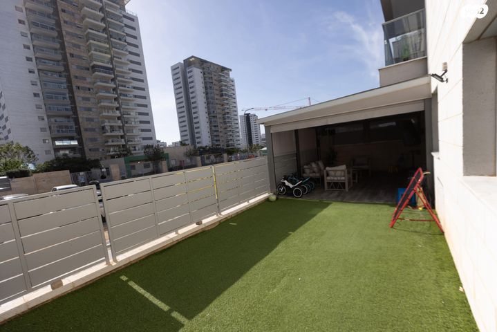 דירה, השחף, החותרים, טירת כרמל