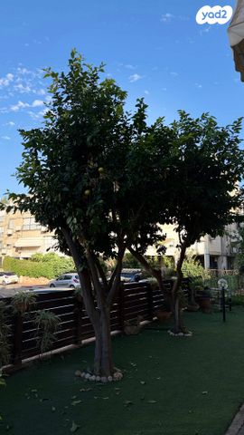 דירה, אור יהודה