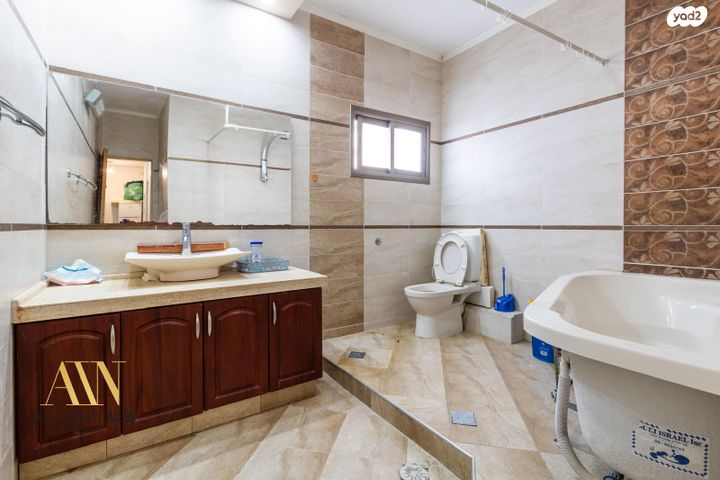 טריפלקס, דימונה