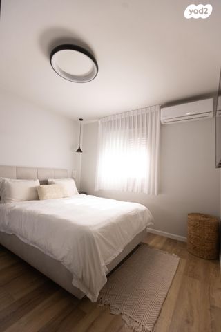 דירה, השחף, החותרים, טירת כרמל