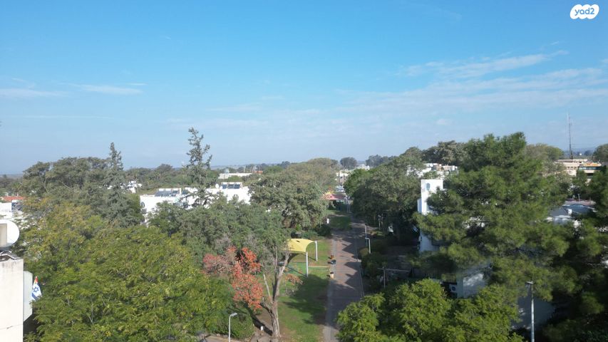 דירה, הדודאים 9, קצרין