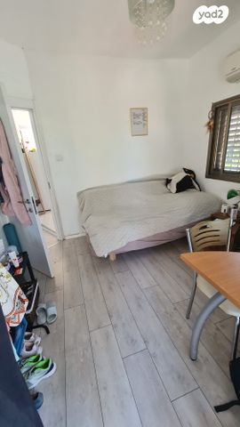 דירה, השלושה, בת ים