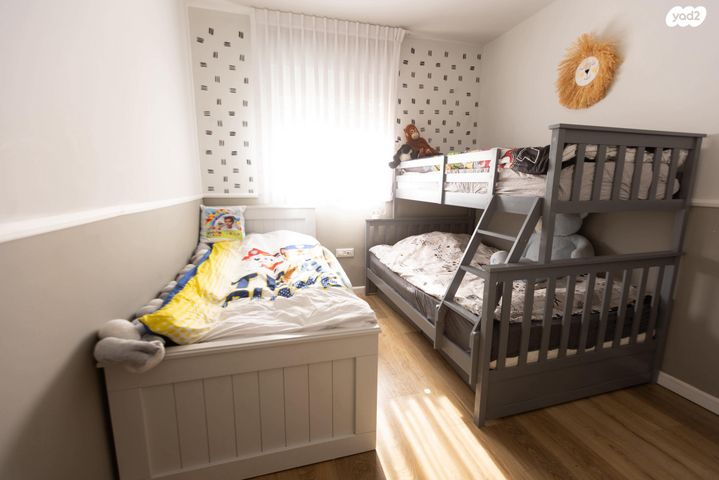 דירה, השחף, החותרים, טירת כרמל