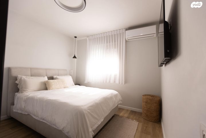 דירה, השחף, החותרים, טירת כרמל