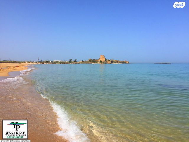 דירה, הרכס, עתלית