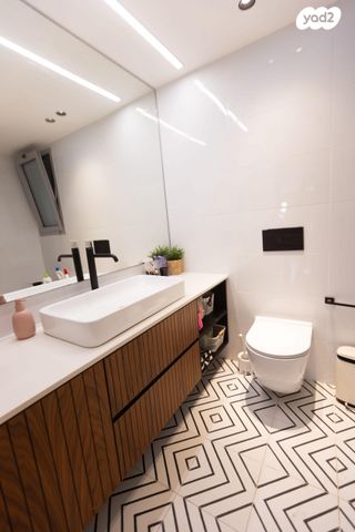 דירה, השחף, החותרים, טירת כרמל