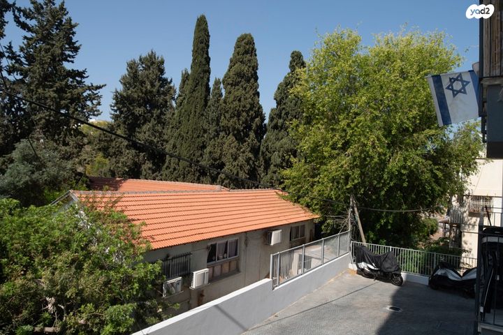 דירה, משה סנה, נס ציונה