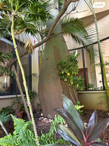 בית פרטי/ קוטג', צופית