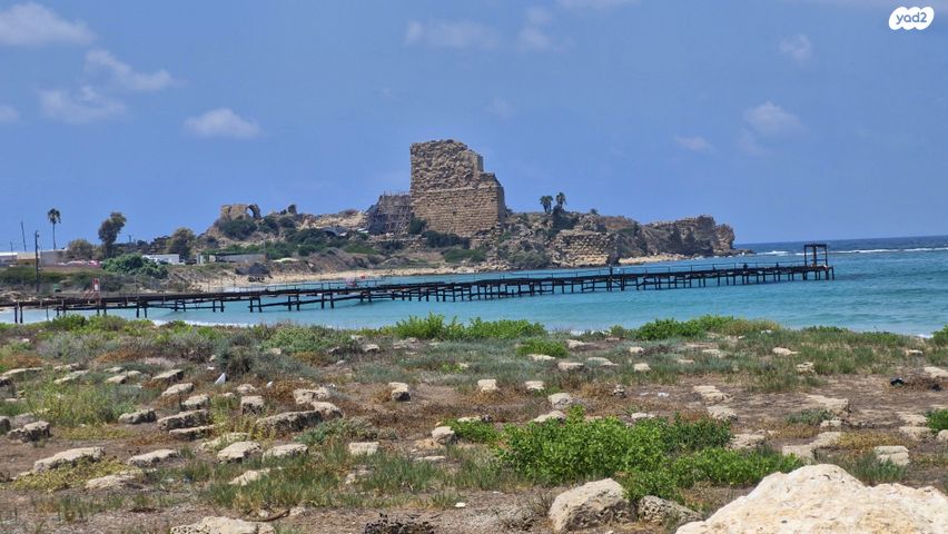 דירה, הרכס, עתלית