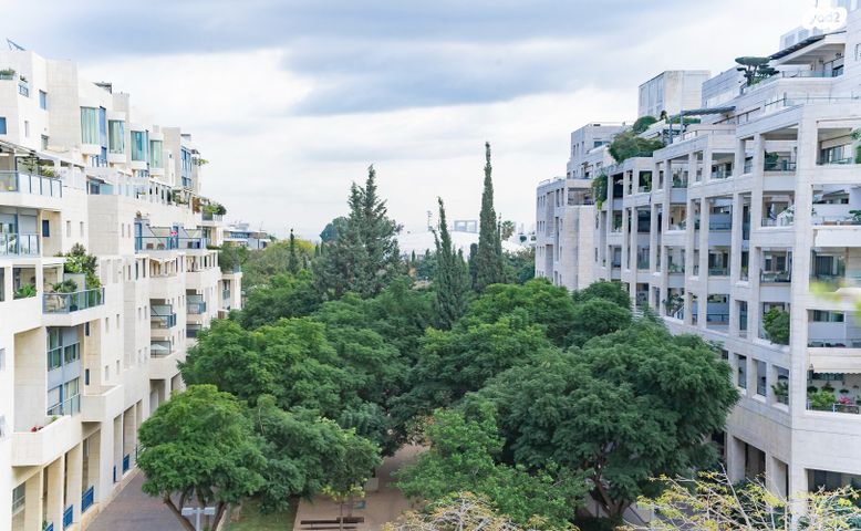 אלכסנדר סשה ארגוב 