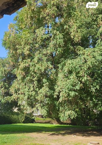 דירה, בן צבי, יהוד מונוסון